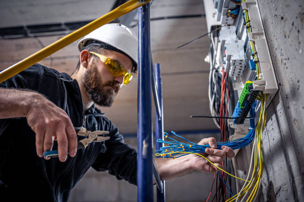 Best Electric Panel Repair  in Franklin, LA